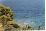 180 Alonissos.jpg